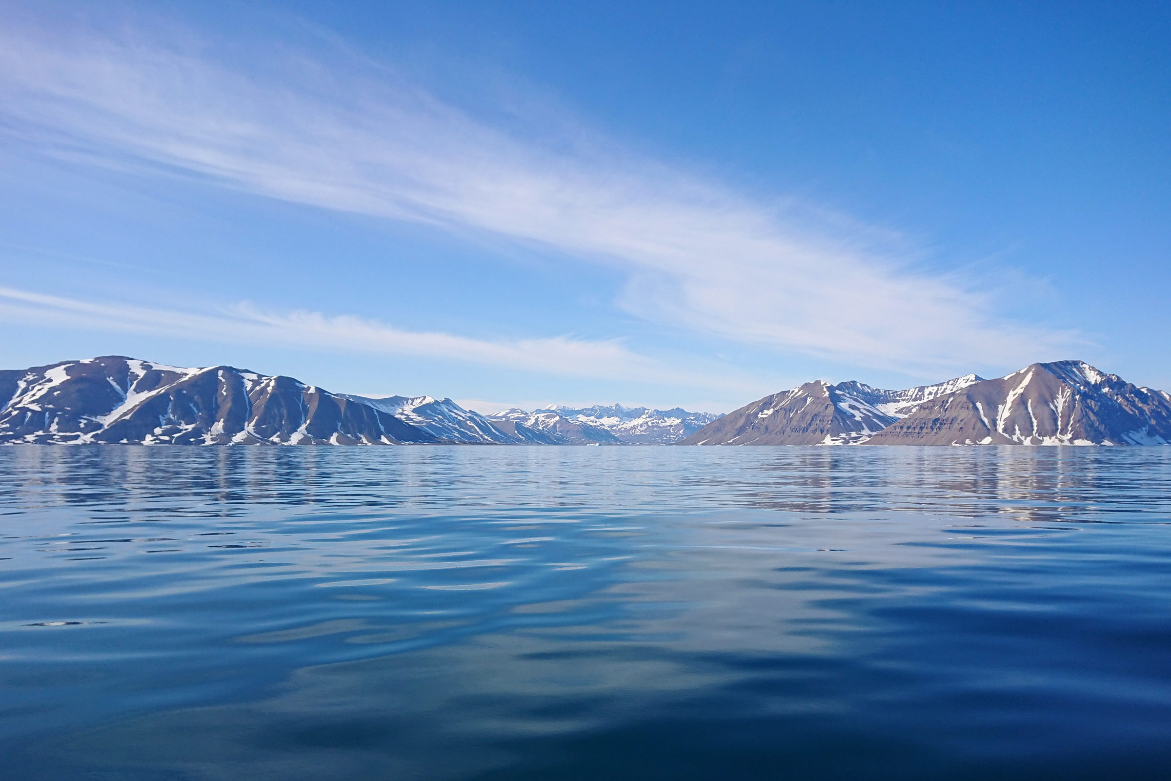 12 king oscar fjord.webp